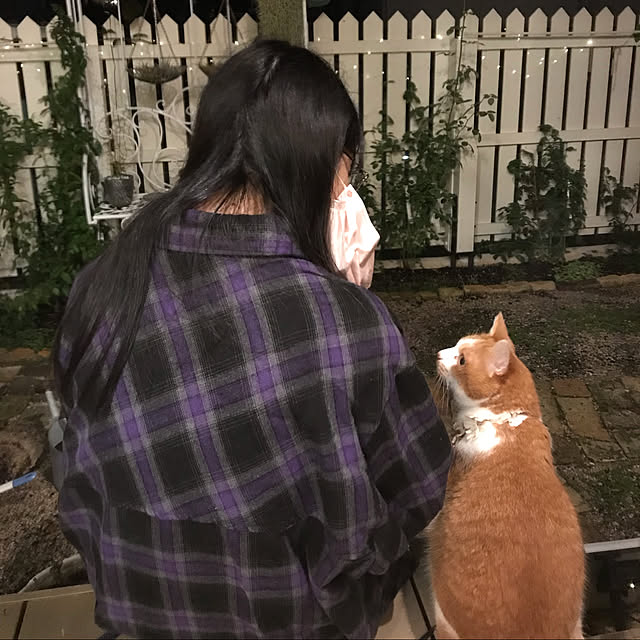 sakuraさんの実例写真