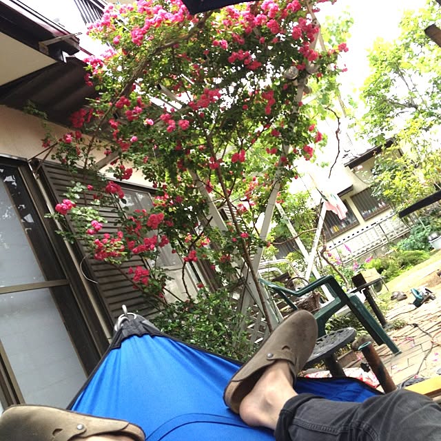 take2000kbさんの実例写真