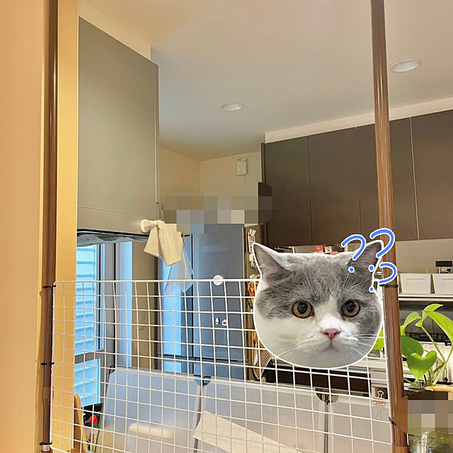mei617830さんの実例写真