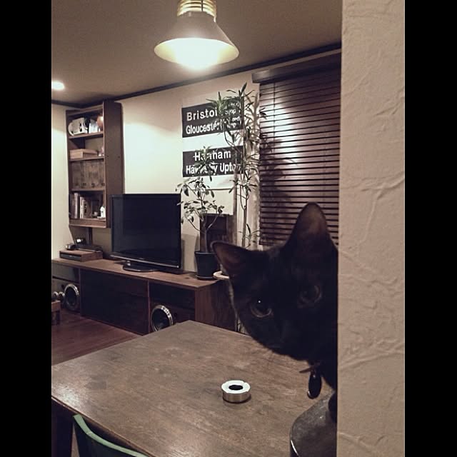 jnkaiさんの実例写真