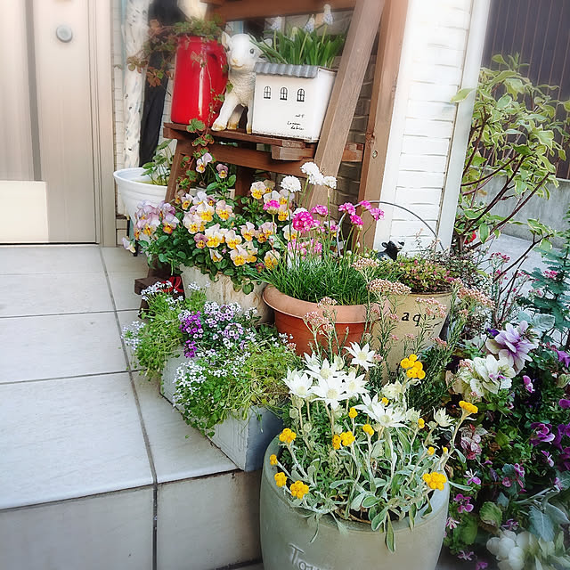 Gomaさんの実例写真