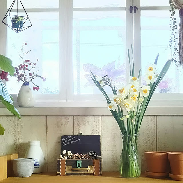 naopyiさんの実例写真