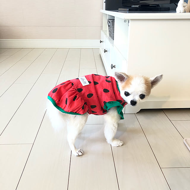 gonchanさんの実例写真
