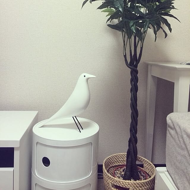 yasuさんの実例写真