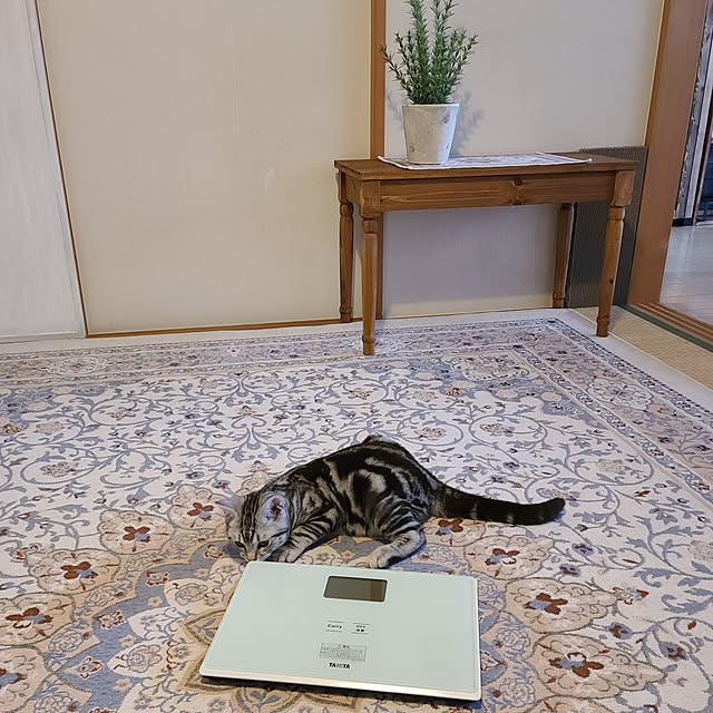 lovepeaceさんの実例写真
