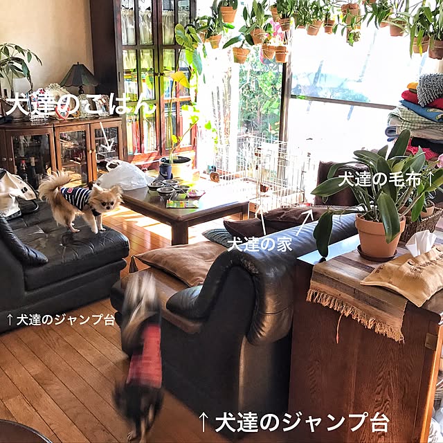 chobiさんの実例写真