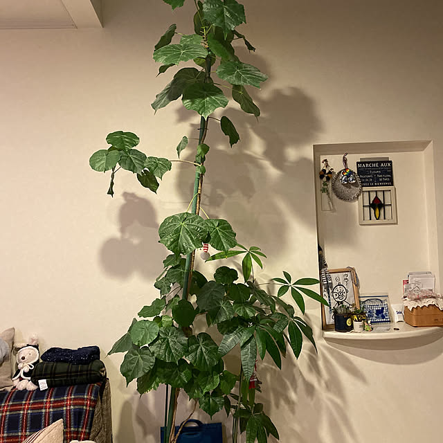 Lemonさんの実例写真
