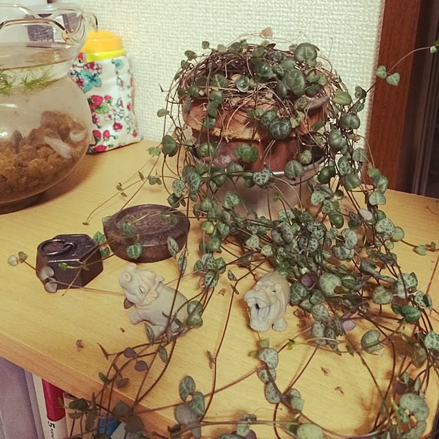 Mi-chonさんの実例写真