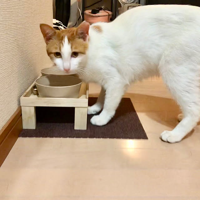 hana_home_and_catsさんの実例写真