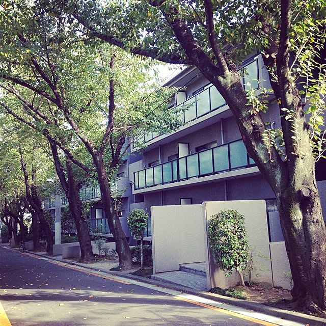 aknb08さんの実例写真