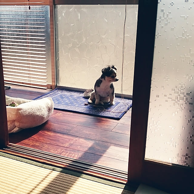 mizuさんの実例写真
