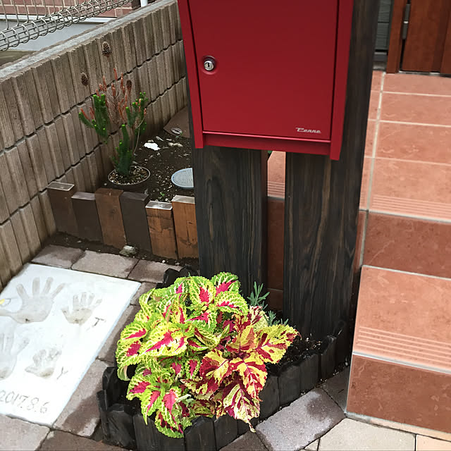 tomoyuzupiさんの実例写真