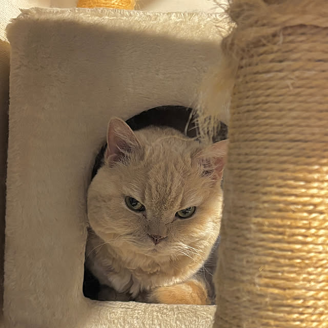 naokoさんの部屋