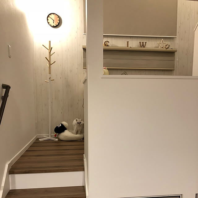 chiyorichikaさんの実例写真