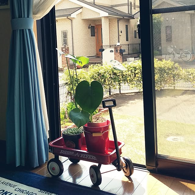 kobaaya21さんの実例写真