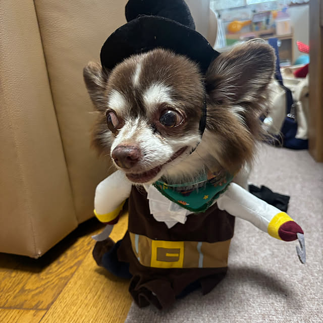 chIoeさんの実例写真