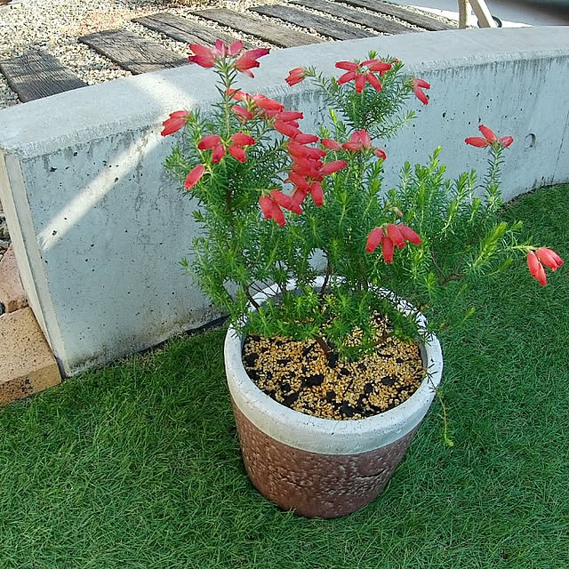 Pict.さんの実例写真