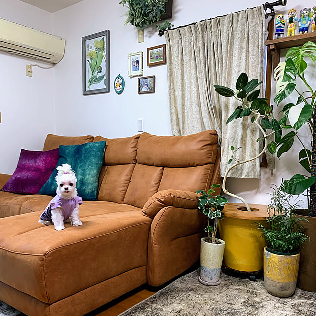 ponyoさんの部屋