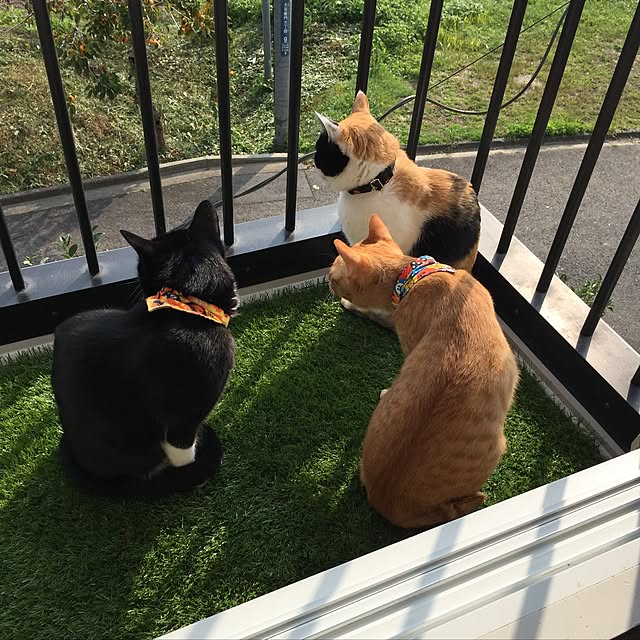 mtkさんの実例写真