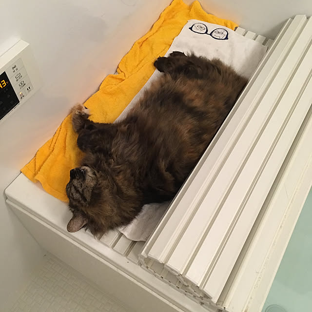 mikomaruさんの実例写真