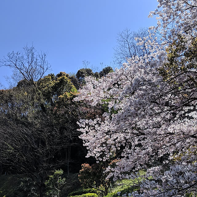 kidukiさんの実例写真