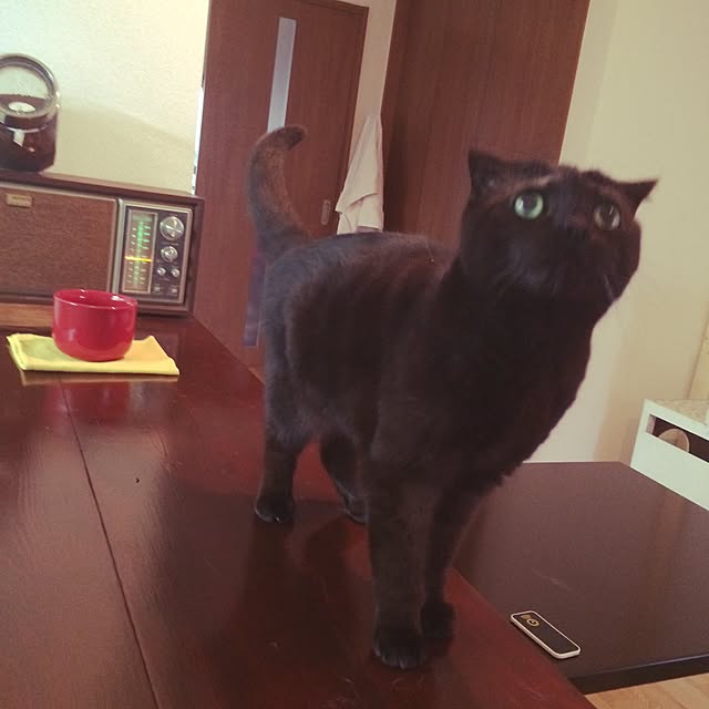 k.0316さんの実例写真