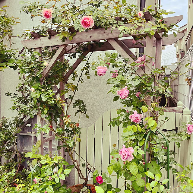 seiseiさんの実例写真