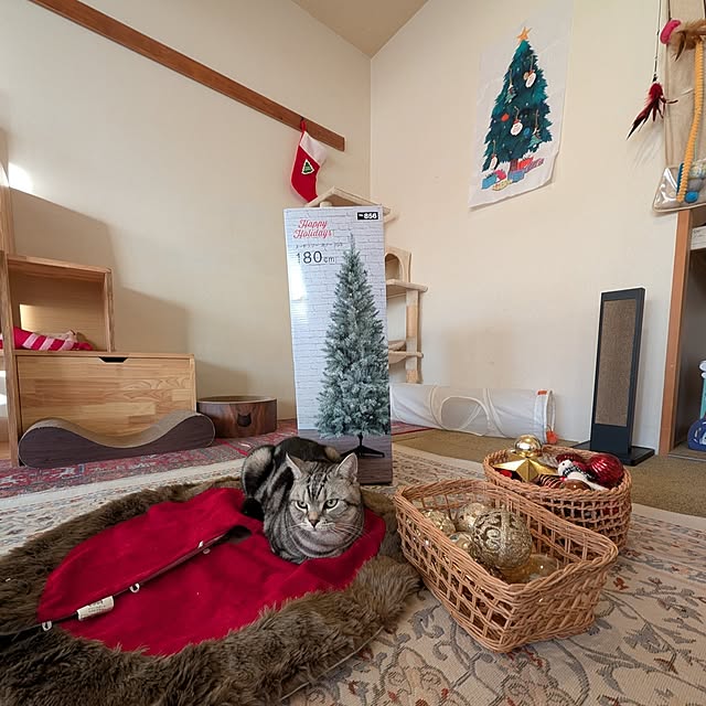 lovepeaceさんの実例写真