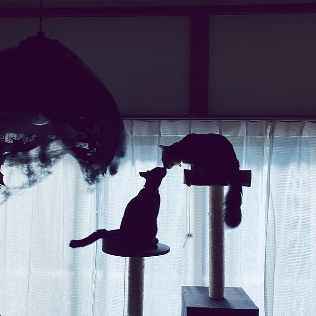 eregonさんの実例写真