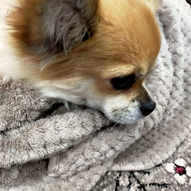 MOMO1011さんの実例写真