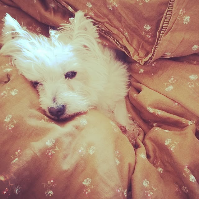 Minaさんの実例写真