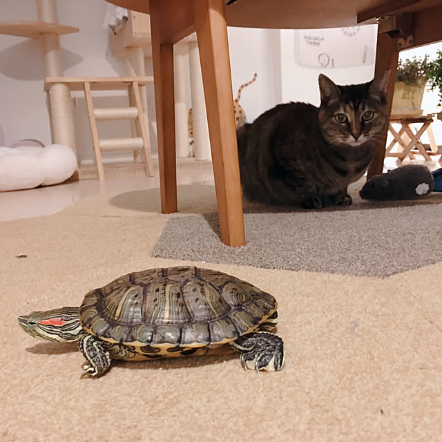 oasisさんの部屋