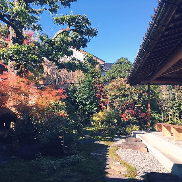 ediblegardenさんの実例写真