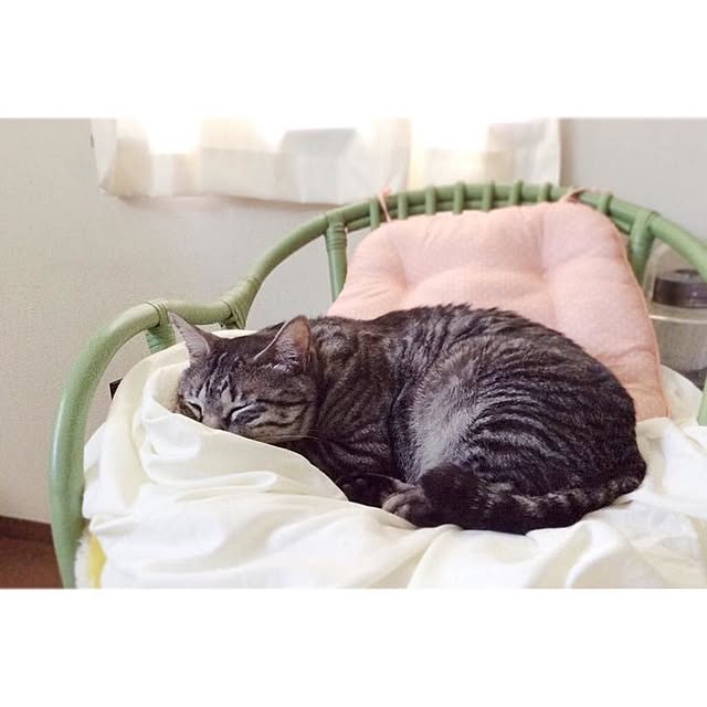 micamicapunさんの実例写真