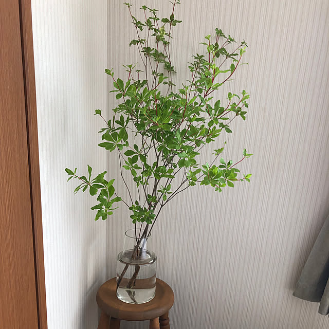 satoさんの実例写真