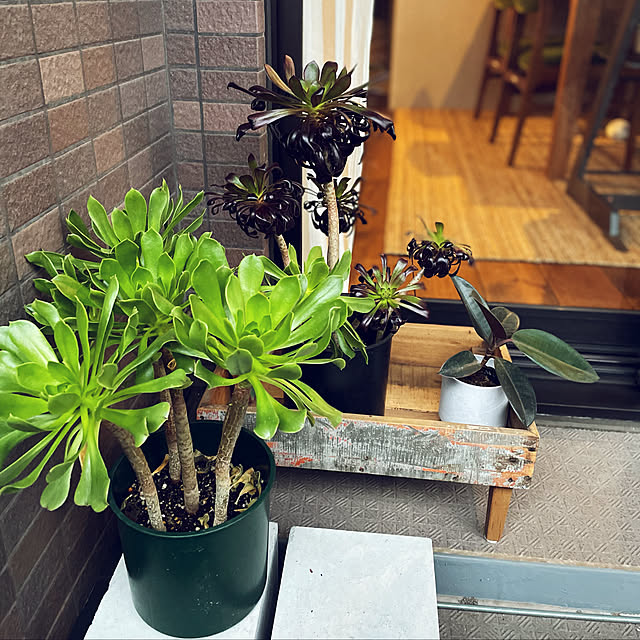 renovetaroさんの実例写真