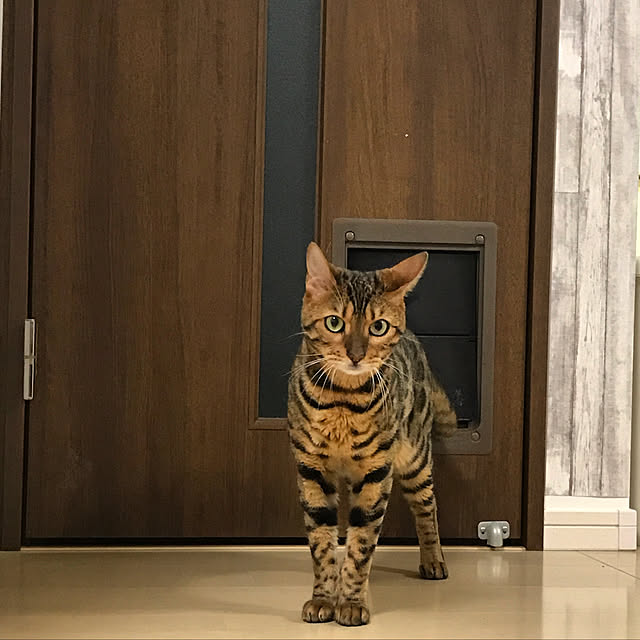 kikita_99さんの実例写真