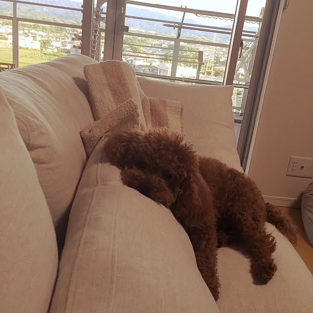 Rさんの実例写真