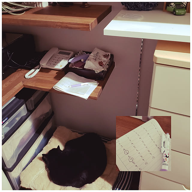 zenoさんの実例写真