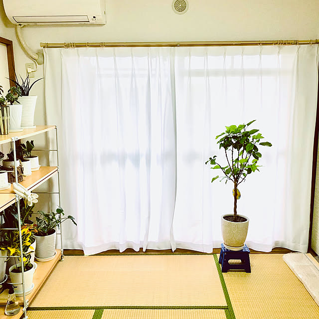 hanachanさんの部屋