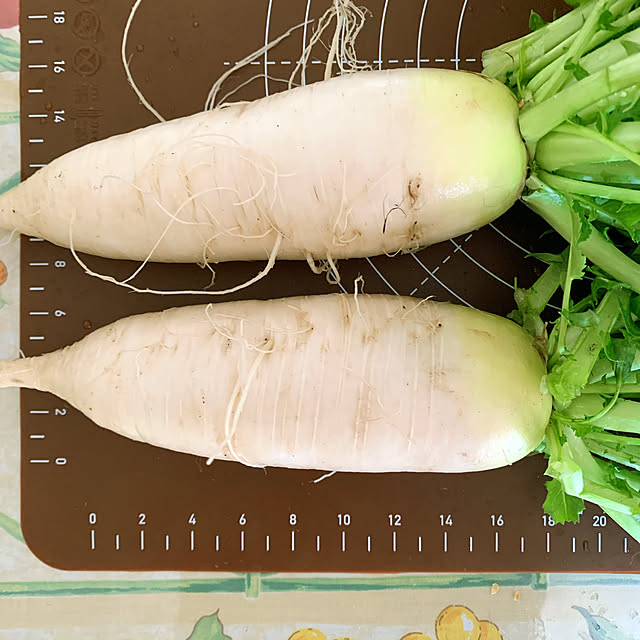 eshinobumさんの部屋