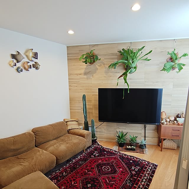 haruさんの実例写真