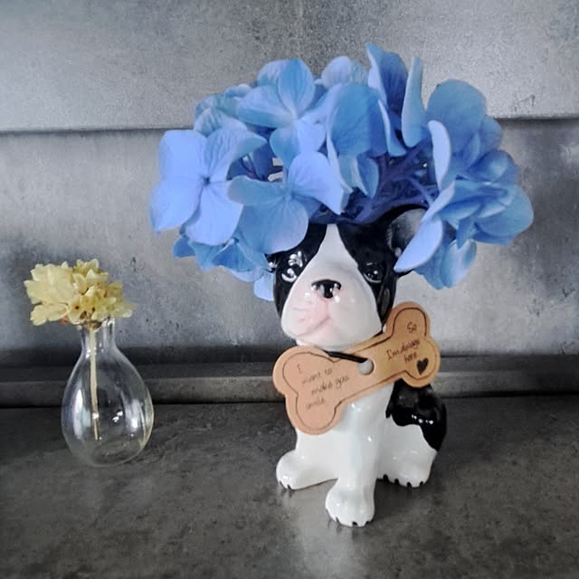 noaさんの実例写真