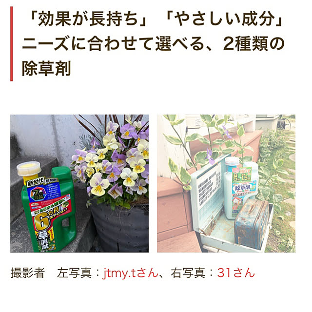 31さんの実例写真