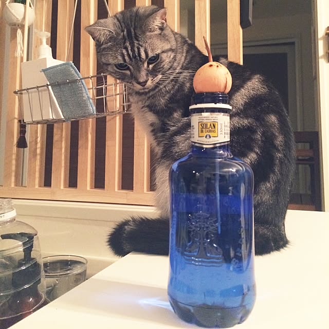 mikomaruさんの実例写真