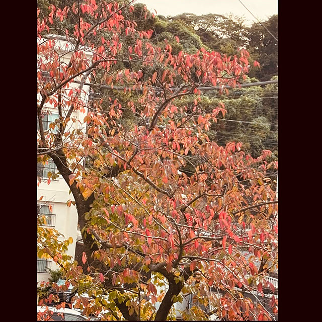 syutmmさんの部屋