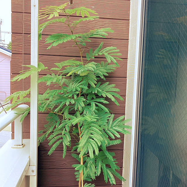 okkunさんの実例写真