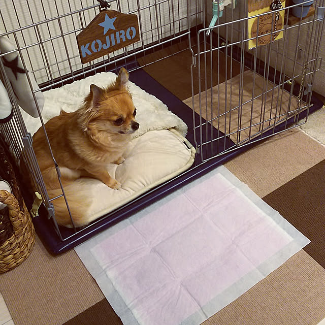kojikojiさんの実例写真