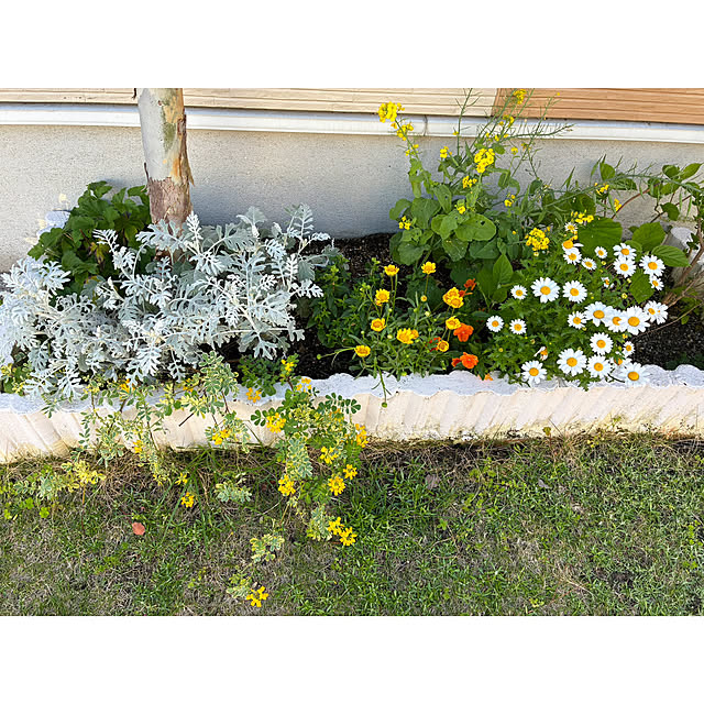 kaさんの実例写真