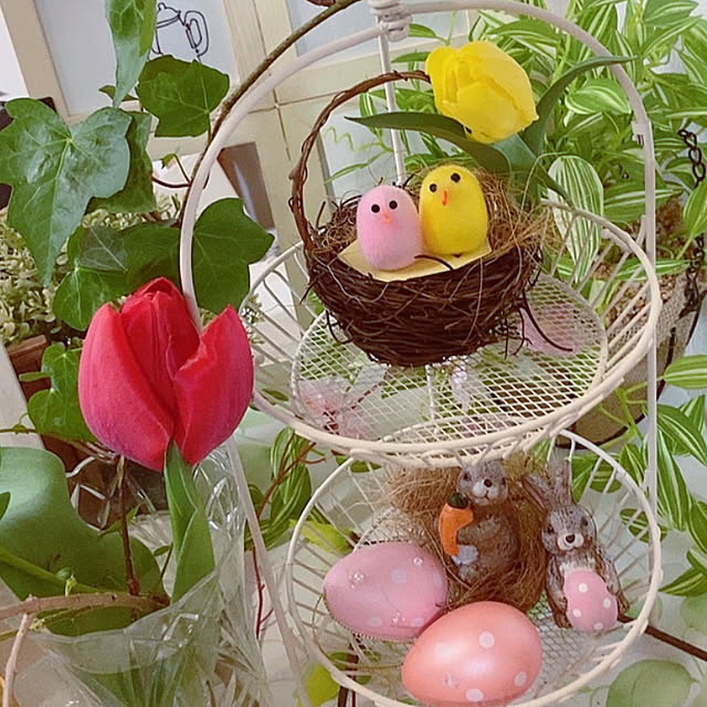 shoさんの実例写真